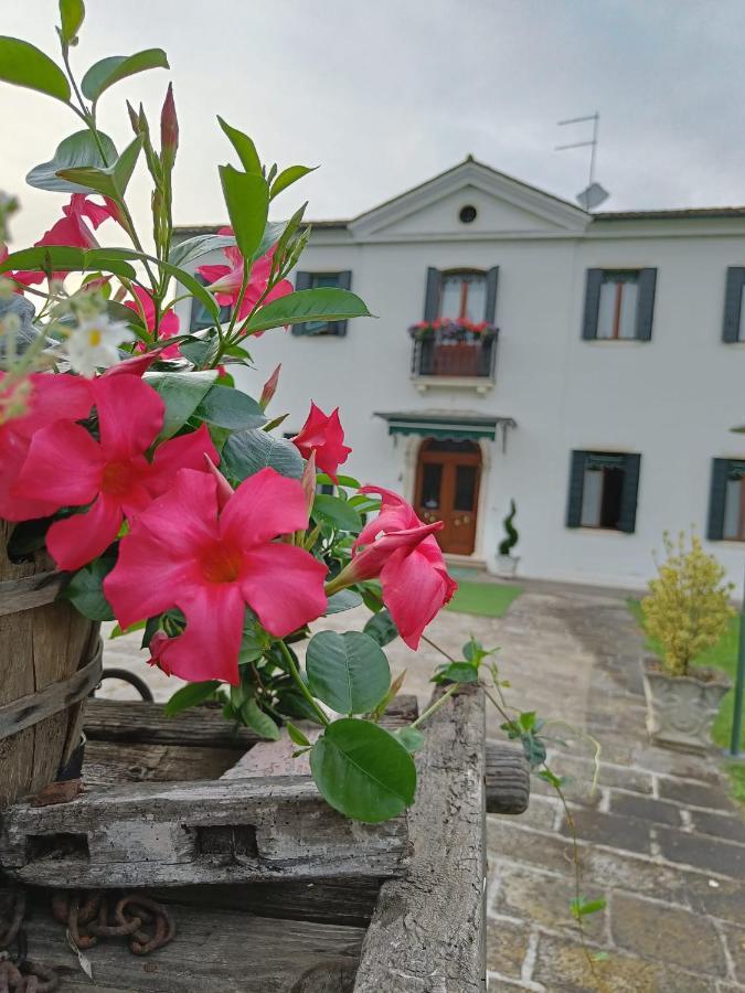 Agriturismo Villa Greggio Casalserugo Exterior foto