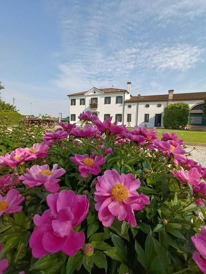 Agriturismo Villa Greggio Casalserugo Exterior foto